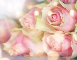 Make That Anniversary Special With Flower Delivery From Boca’s Best Florist